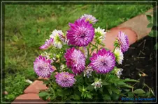 comp_DSC02301.webp
