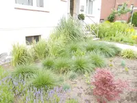 nikon 065.webp