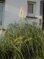 nikon 20140922 032.webp