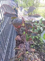 20140922_181550.webp