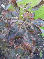 20140922_181544.webp