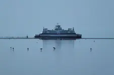 auf dem wasser.webp