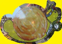 P1200469%2B-%2BKopie.webp