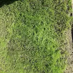 010.webp