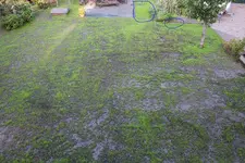 IMG_8246.webp