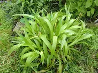CIMG1382.webp