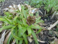 CIMG6256.webp