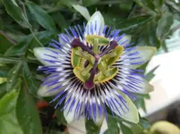 P1200731.webp