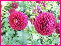 036.webp