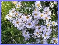 086.webp