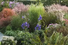 DSCF7977 (2).webp