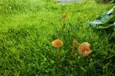 DSCF7959 (2).webp