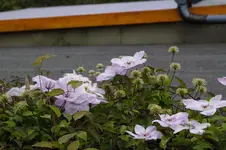 _DSC7288.webp