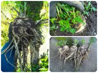 Fotor0923190730.webp