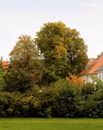 stadtpark_2.webp