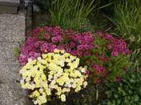 nikon 20140924 028.webp
