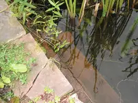 010.webp