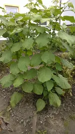 WP_20140907_005.webp