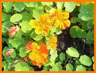 074.webp