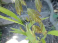 P1190276.webp