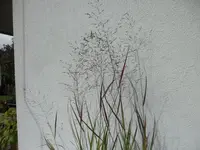 SAM_5549.webp