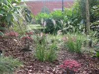Garten 23.9.14 003.webp
