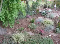Garten 23.9.14 004.webp