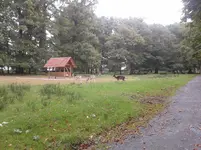 2014-09-25 12.38.41.webp