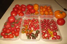 IMG_0893[1].webp