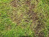 DSCF2419.webp