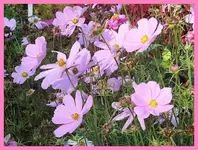 075.webp