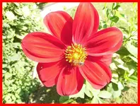 050.webp