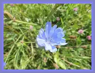 019.webp