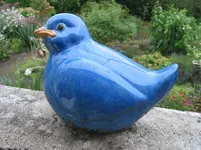 017.webp