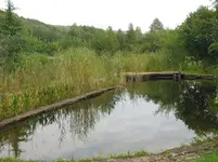 006.webp