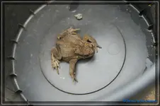 comp_DSC02308.webp