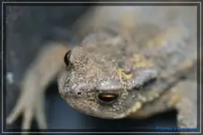 comp_DSC02309.webp