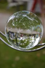 DSC_2969.webp