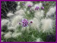 032.webp