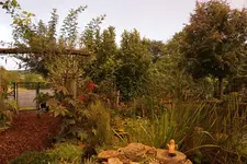 Rosenbogen (Kopie).webp