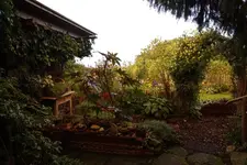 shabby Garden (Kopie).webp