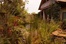 Teich (Kopie).webp