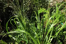 DSCF7962 (2).webp