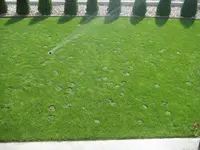 Foto 02.webp