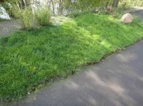 Foto 04.webp