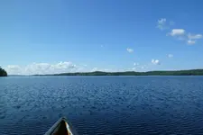 P1010754.webp
