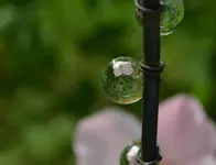 Dainty Bess.webp