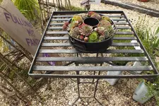 DSCF7995.webp