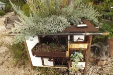 DSCF7997.webp