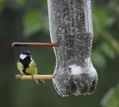 Vogelfutterspender neu+.webp